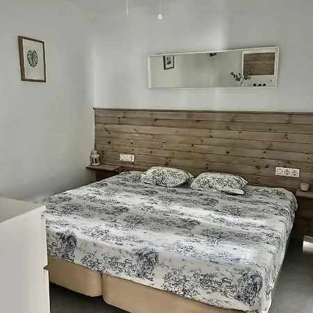 Casa Petronila Bajo Para Familias O Parejas